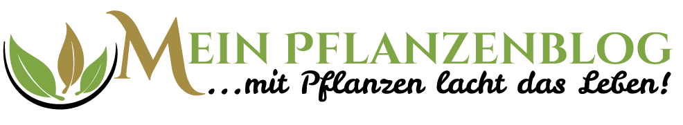 Logo Pflanzenblog