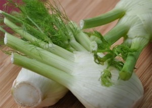 Fenchel