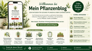 Pinterest Gartenideen